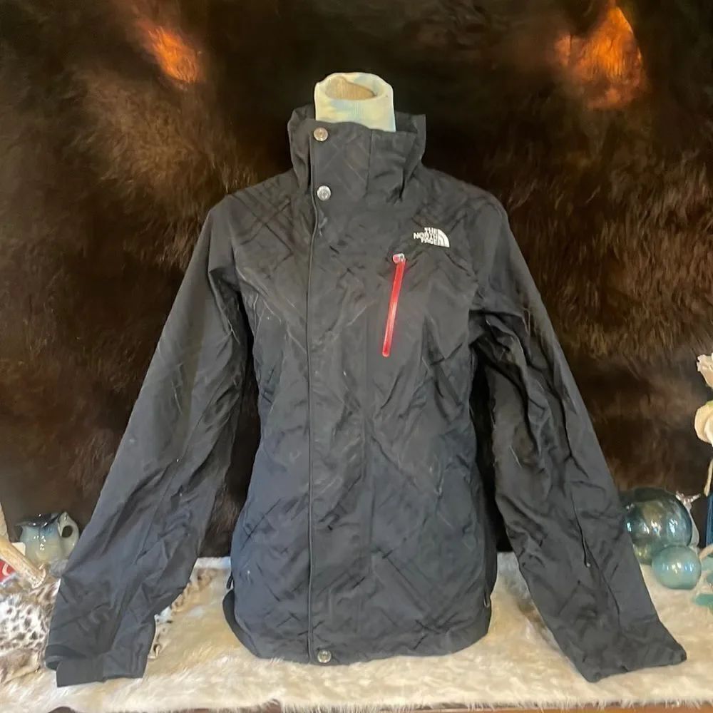 The north face jacket M (2600)